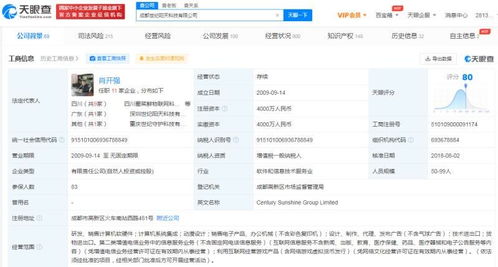 計算機(jī)軟硬件研發(fā)與銷售 技術(shù)驅(qū)動與市場拓展的雙輪引擎